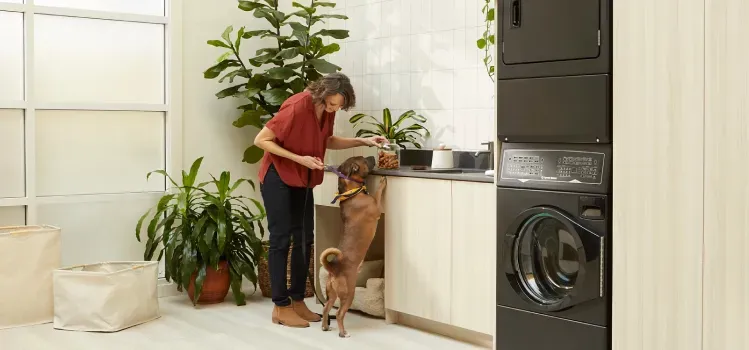 speed-queen-laundry-woman-and-dog